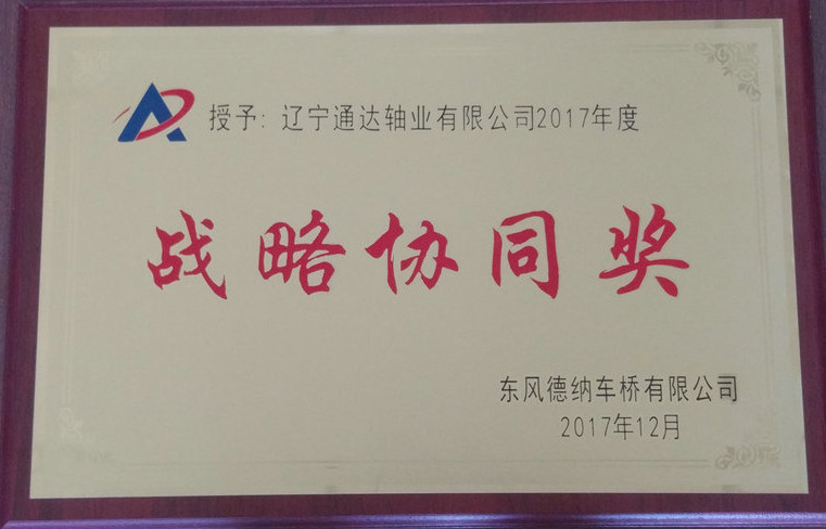 戰(zhàn)略協(xié)同獎(jiǎng) 2017.jpg