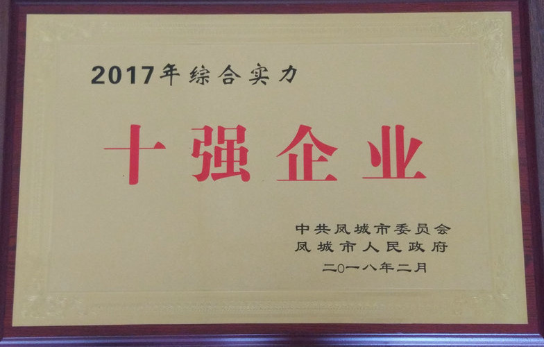 十強企業(yè) 2017.jpg